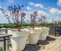 Flatiron Lofts - Photo 4