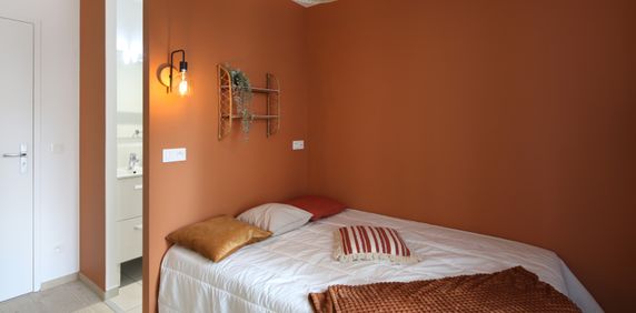 RAVAT Roommate 4 Bedrooms at Lyon 2e - Photo 2