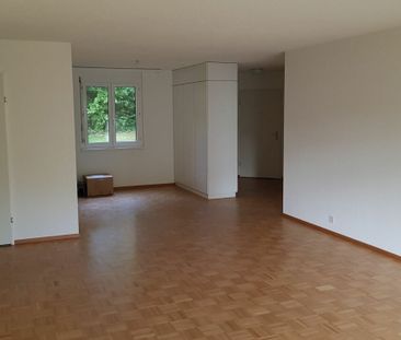 4.5-Zimmer-Wohnung, Heimelig und geräumig - Photo 6