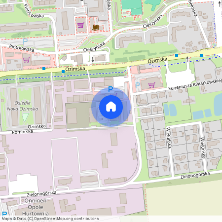 ul. Harcmistrza Aleksandra Kamińskiego 6, Kolonia Gosławicka, Opole, opolskie