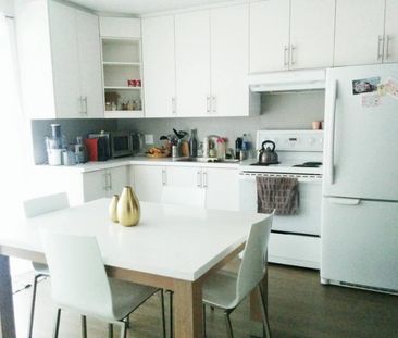 4 1/2 - Montréal (Hochelaga / Maisonneuve) - 1 665 $/mois - Photo 3
