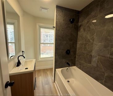 For Lease - 643 PIERRE Unit# 2, Windsor, Ontario - Photo 4