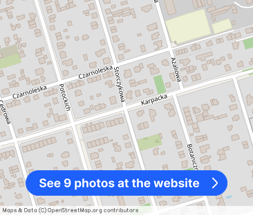 Ogród, Zwierzęta ok, Parter, Blisko komunikacji - Photo 1