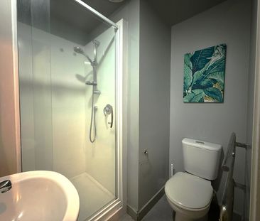 4E/147 Hobson Street, City Centre (Auckland City) - Photo 5