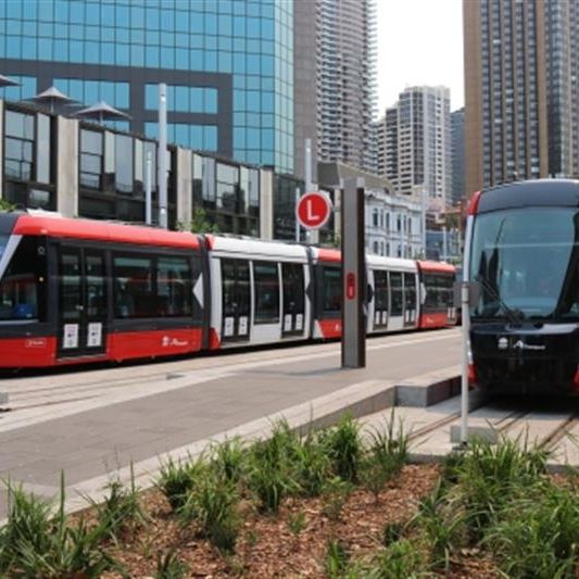 CEDAR/413 ANZAC Parade, Kingsford NSW 2032 - Studio For Rent | Domain - Photo 1