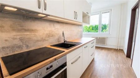 Prostorný byt 2+1 po rekonstrukci s lodžií | 56 m - Фото 4