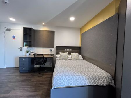 Premium Plus Studio - Photo 4