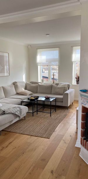 Västra Storgatan, Sölvesborg - Photo 1