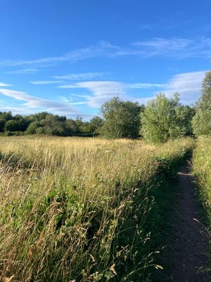 Studio Flat, Sandown Road, SE25 - Photo 1
