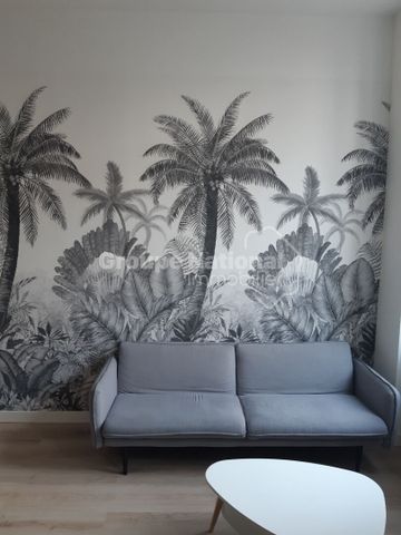 T1 BIS MEUBLÉ CALME ET LUMINEUX COTÉ COURS SANS VAV, - Photo 5