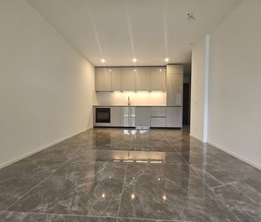 AFFITTASI NUOVO 2.5 LOCALI CON VISTA APERTA A LUMINO - Foto 2