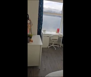 Room in a Shared House, City Road, S2 - Photo 3