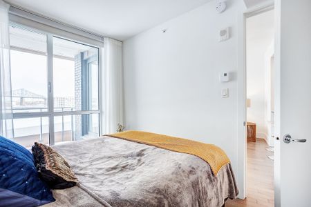 360 Rue Atateken, Montréal (Ville-Marie), QC H2L - Photo 3