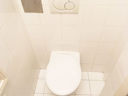 Helle Altbau - Mietwohnung im Fasanviertel nähe Botanischer Garten und Belvedere - 5 Jahre befristet - Foto 4