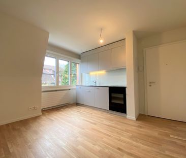 Small but mighty! - Foto 1