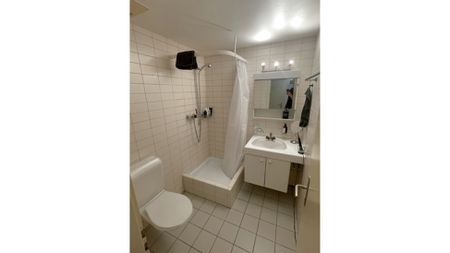 1½ Zimmer-Wohnung in Basel - Altstadt/Grossbasel, möbliert, auf Zeit - Foto 3