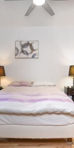 6 1/2 - Montréal (Le Plateau Mont-Royal) - 3 100 $/mois - Photo 4