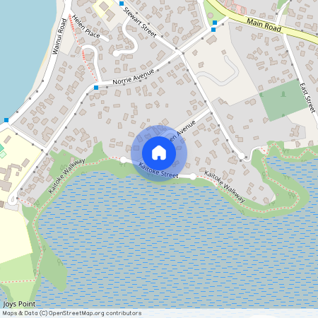 12 Tutchen Avenue, Raglan, Waikato