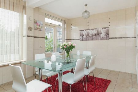 Van der Kloot Meyburgstraat - Foto 5