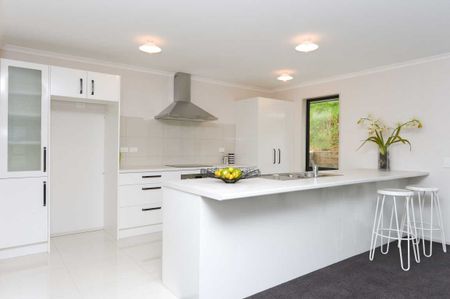 10 Rengarenga Close, Rotokauri — - Photo 2