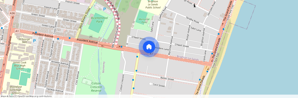 166 President Avenue, NSW 2216, Brighton-Le-Sands