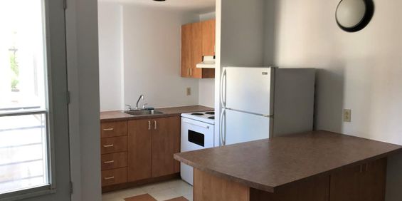 Studio - Montréal - $1,325 /mo - Photo 3