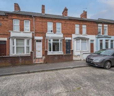 17 Brookland Street, Belfast, BT9 7FZ - Photo 5