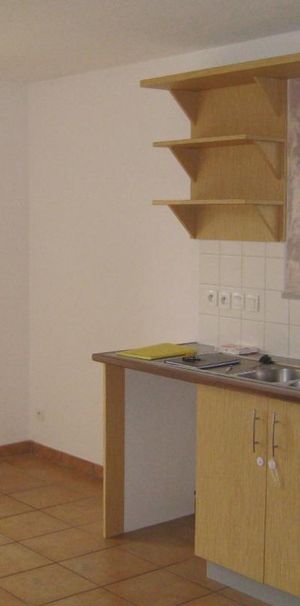 Location Appartement 4 pièces 105m² ST PIERRE D ALBIGNY 73250 - Photo 1