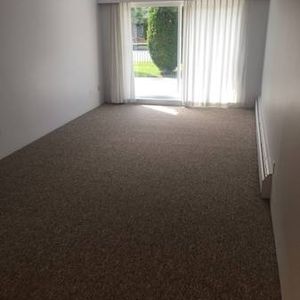 Metrotown | Renovated Bright and Sunny Garden-level 1 Bedroom/1Bath - Photo 2