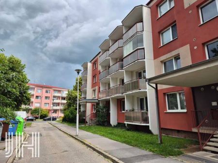 Pronájem bytu v centru po celkové rekonstrukci - Photo 3
