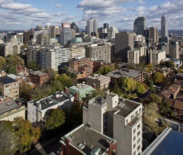 1400 Avenue des Pins Ouest apartment — Montréal, QC (2-Bedroom) - 2 Bedroom - Photo 4