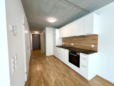 Neubauwohnung mit großer Terrasse und Tiefgaragenstellplatz in Altach - Foto 4