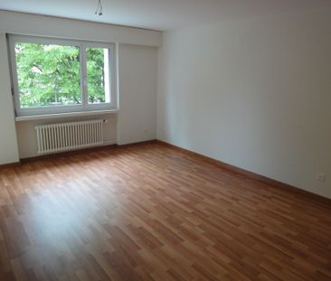 2 Zimmer, 3. Stock - Photo 5