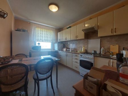 Mieszkanie na Wynajem, 51.00m - Фото 3