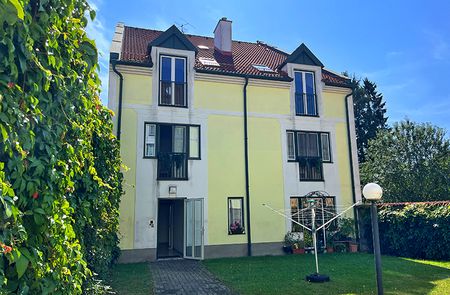 Wohnung in Litschau - Photo 3