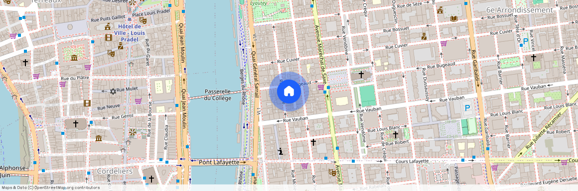 35 RUE MOLIERE, LYON 6EME ARRONDISSEMENT Moliere