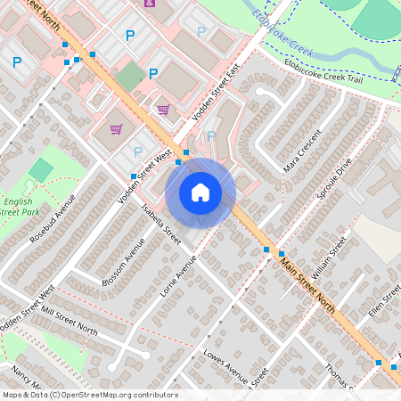 293 Main Street Unit# Basement, Brampton