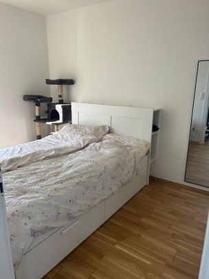 Ideal aufgeteilte 2-Zimmer-Wohnung mit einem großen Balkon in Grünruhelage in Gösting in sehr guter Lage - Photo 1