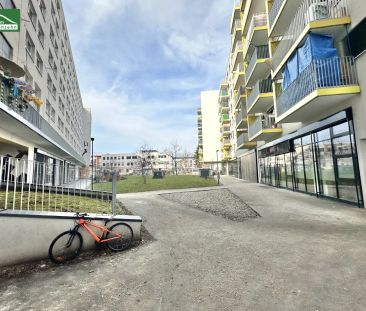 Ruhige Genossenschaftswohnung am Eggenberger Gürtel 73 – Gut angebu... - Foto 3