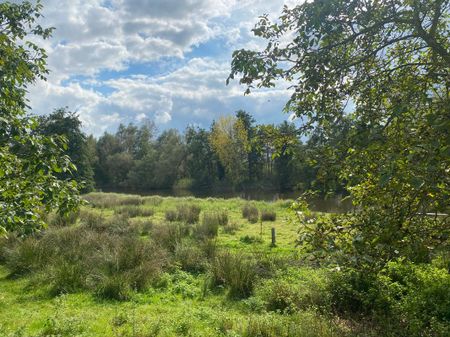 Hamme ( Moerzeke) - Hebbestraat 30B - Photo 5