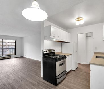 Dolphin Square Apartments - 1 Bedroom - Photo 4