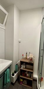 Location Appartement 1 pièce 37m² ANGERS 49100 - Photo 4