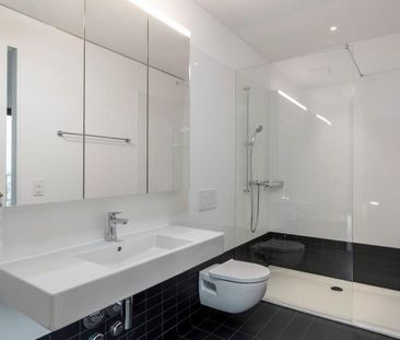 Above the roofs of Mels - Photo 6