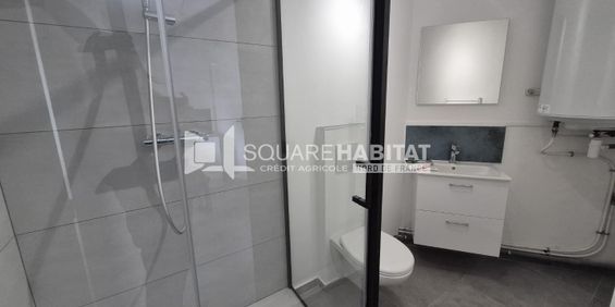 Location Appartement 1 pièce 20m² ANZIN 59410 - Photo 3