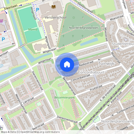 79, Radijsstraat, Concordiabuurt, Tuinwijk, West, Groningen, Nederland, 9741 BM, Nederland