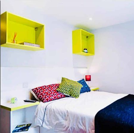 Executive Plus Studio - Photo 2