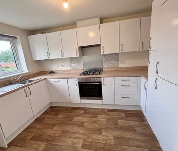 Canister Close - Photo 5