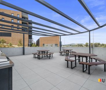 2 Bedroom apartment with arboretum views - Photo 6