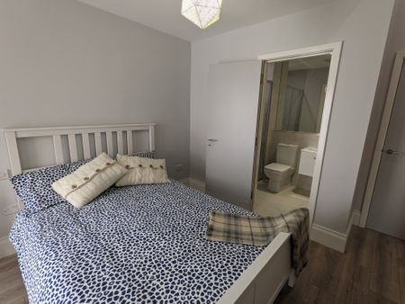 WP Apartments, Apt 4 34 Wellington Park, Belfast, BT9 6DN - Photo 5