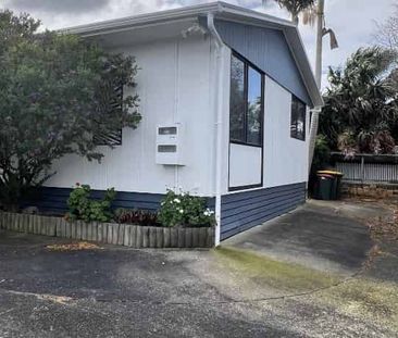 A Hidden Treasure - Photo 3